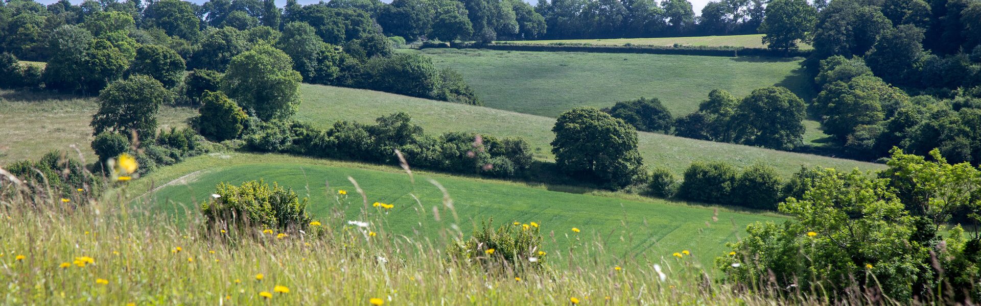 Central Chilterns Farmer Cluster