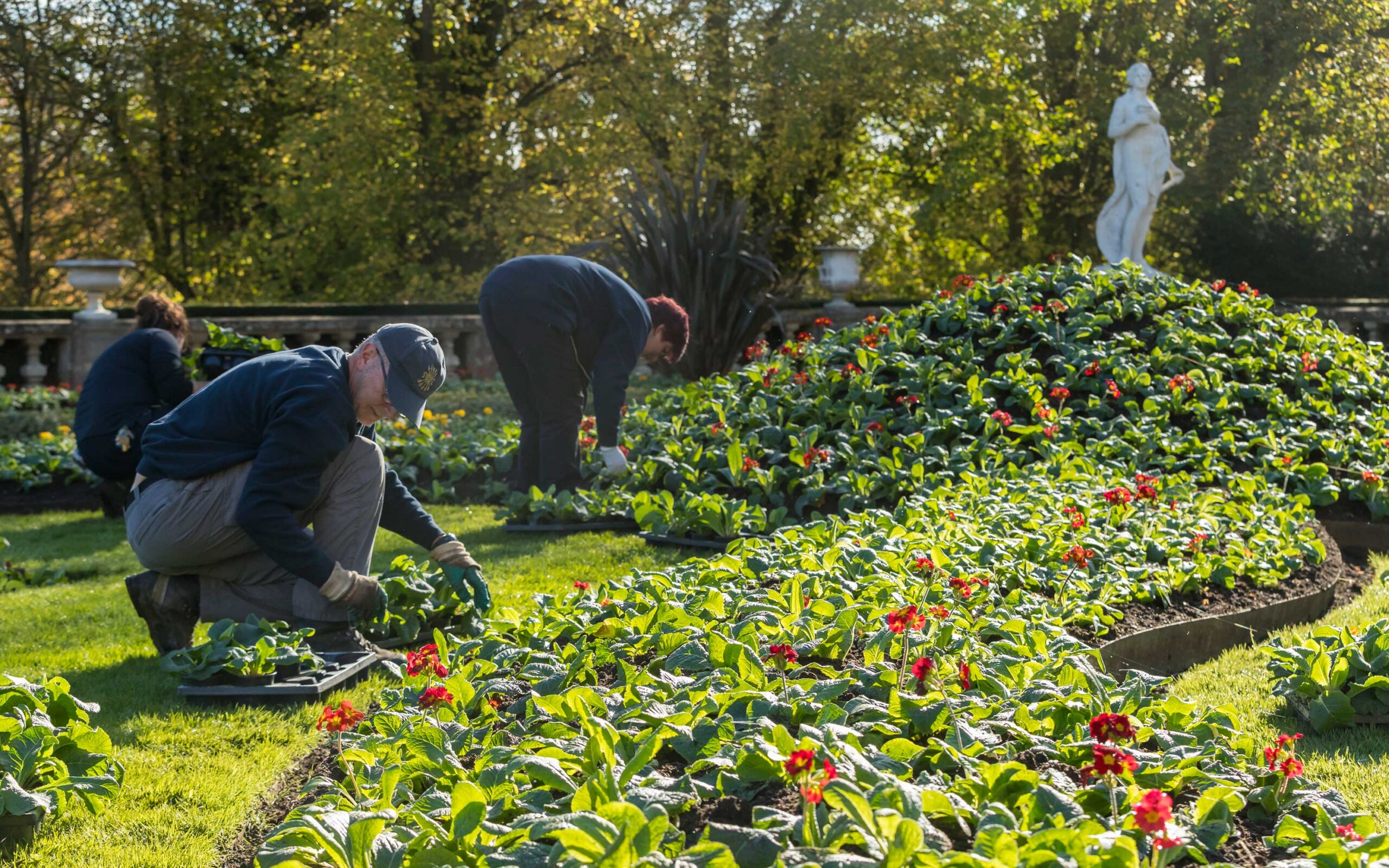 Gardener