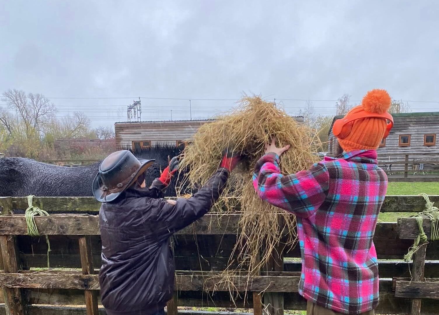 Horses Helping People: The Friday Club, building connection and wellbeing through nature and community
